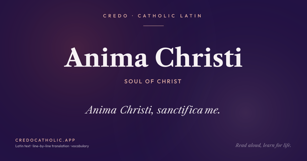 Anima Christi share card